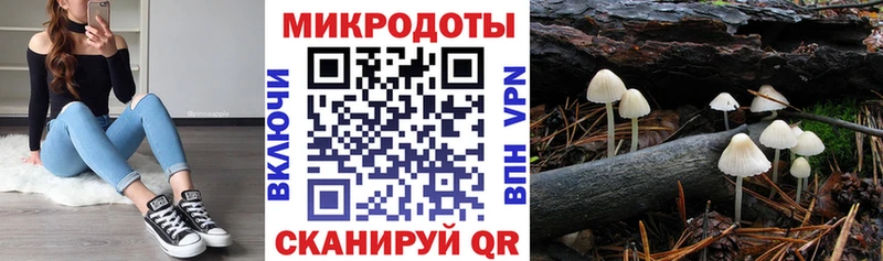 хочу наркоту  Навашино  Галлюциногенные грибы Magic Shrooms 